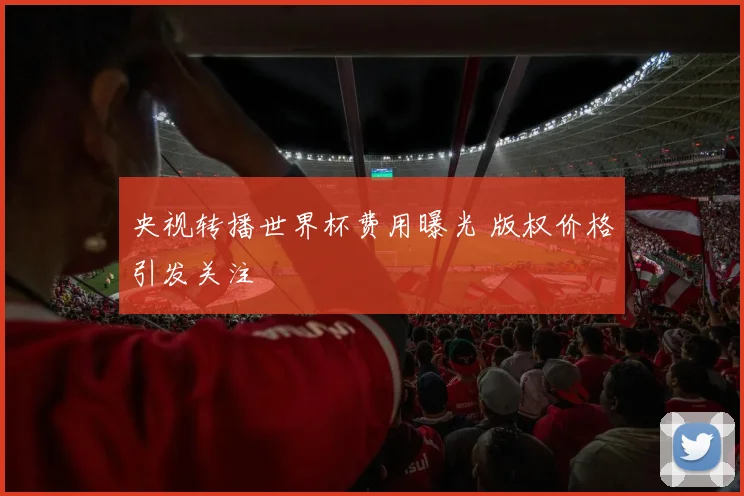 央视转播世界杯费用曝光 版权价格引发关注